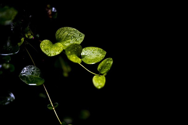 昆明五華.jpg 昆明五華.jpg