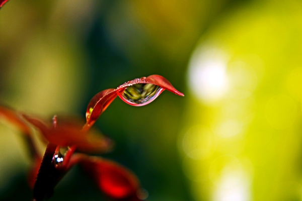 昆明宜良.jpg 昆明宜良.jpg