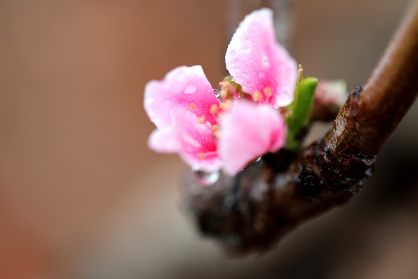 昆明東川.jpg 昆明東川.jpg