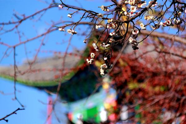 IMG_4732__看圖王.png IMG_4732__看圖王.png