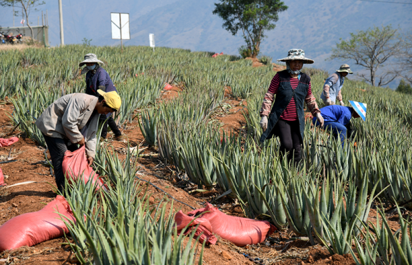 6_wps圖片.png 6_wps圖片.png