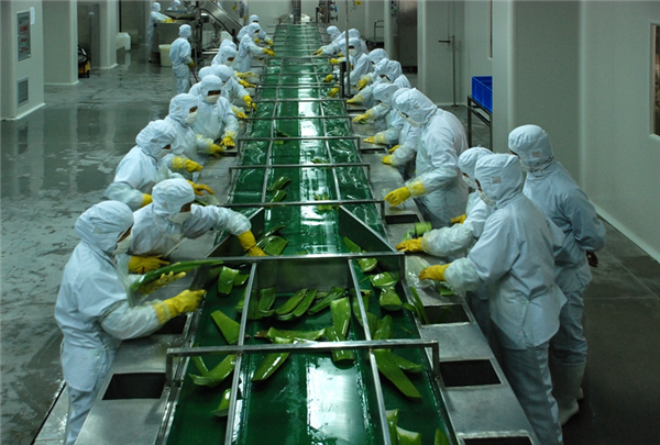 5_wps圖片.png 5_wps圖片.png