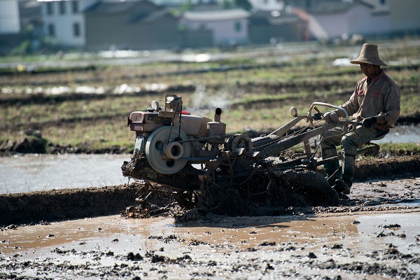麗江永勝.jpg 麗江永勝.jpg