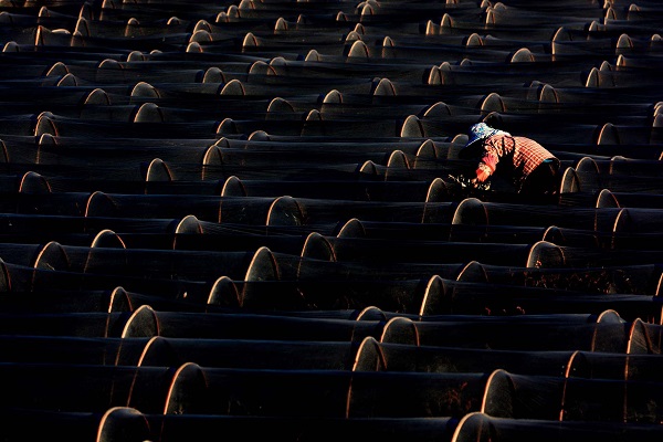 德宏盈江.jpg 德宏盈江.jpg