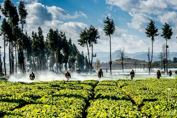 文山丘北.jpg 文山丘北.jpg