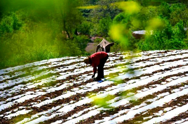 昆明安寧.png 昆明安寧.png