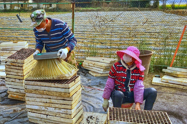 玉溪易門.jpg 玉溪易門.jpg