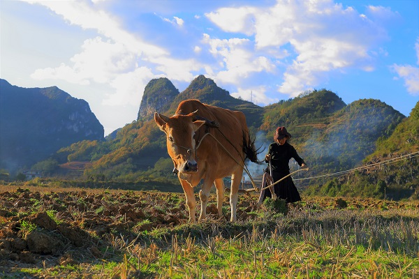 文山富寧.jpg 文山富寧.jpg