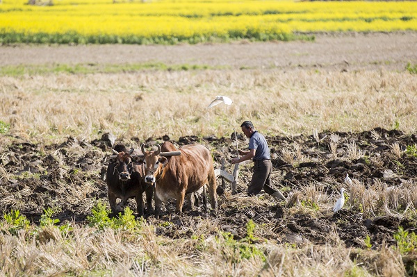 保山隆陽.jpg 保山隆陽.jpg