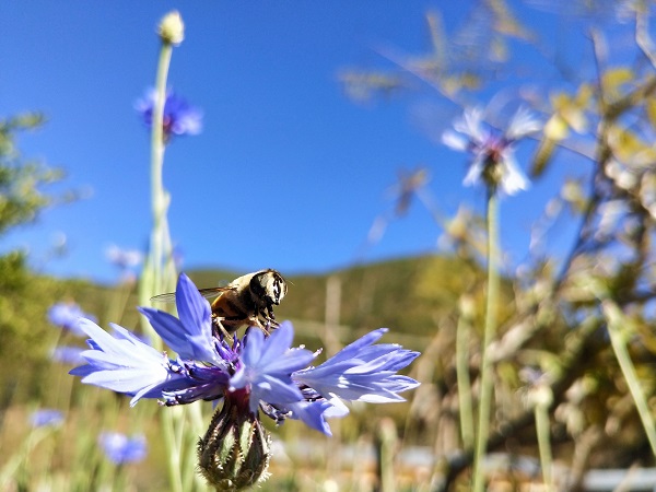 IMG_20181227_130413.jpg IMG_20181227_130413.jpg