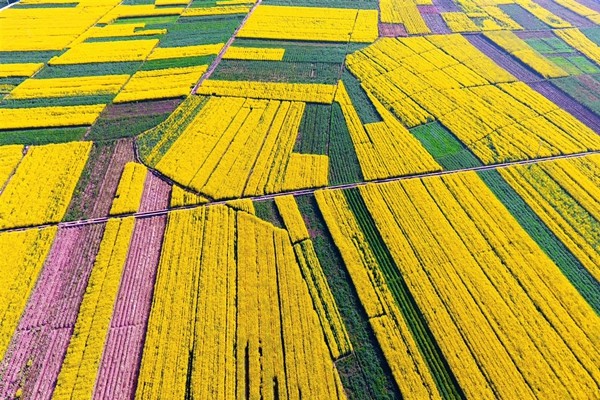 1王勁鋒攝.jpg 1王勁鋒攝.jpg