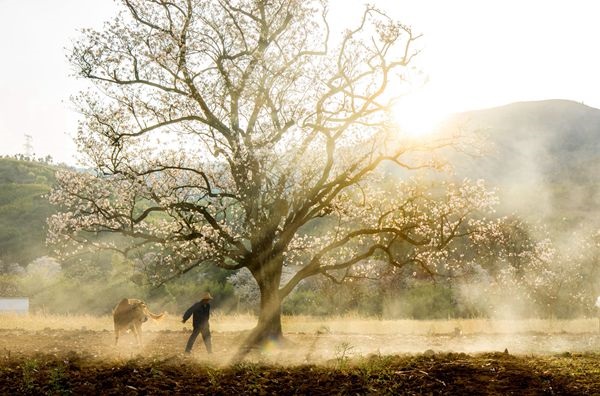 開遠2.jpg 開遠2.jpg