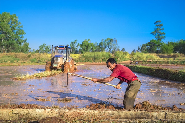 11.李光洪攝.jpg 11.李光洪攝.jpg