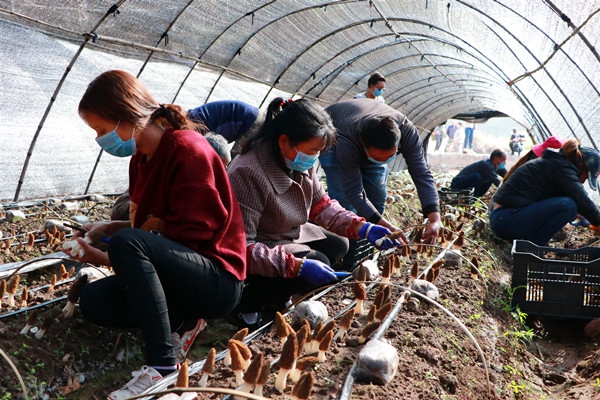 9.張斌攝.jpg 9.張斌攝.jpg