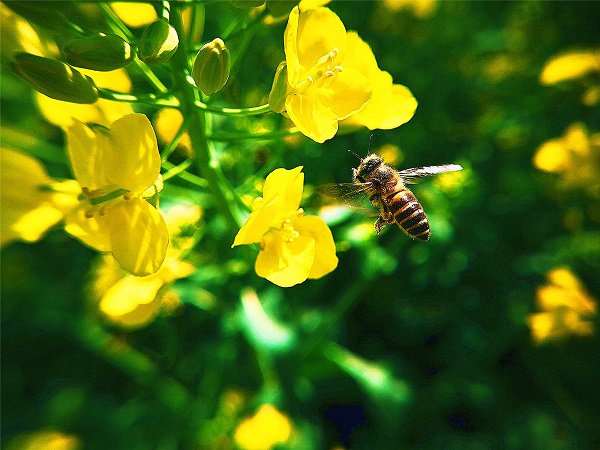 安寧.jpg 安寧.jpg