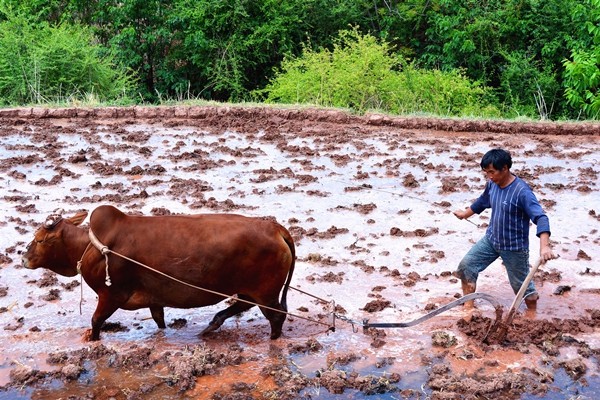 10.宋躍星攝.jpg 10.宋躍星攝.jpg