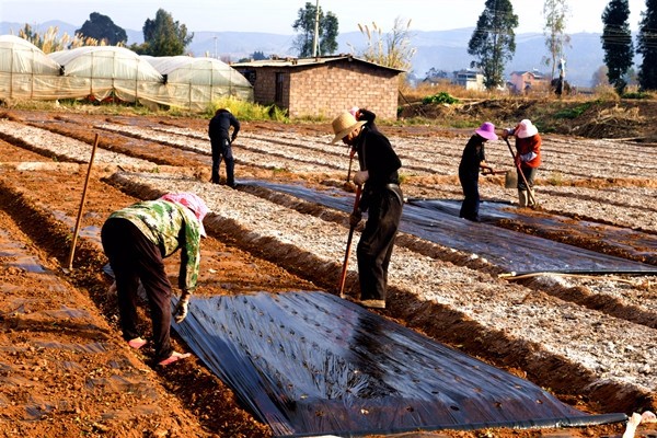 8.段紹東 攝.jpg 8.段紹東 攝.jpg