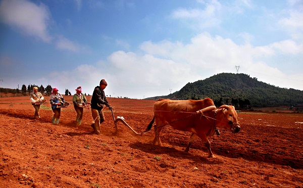 瀘西.jpg 瀘西.jpg