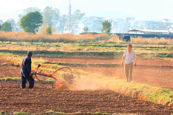 6.張芹洪攝.jpg 6.張芹洪攝.jpg