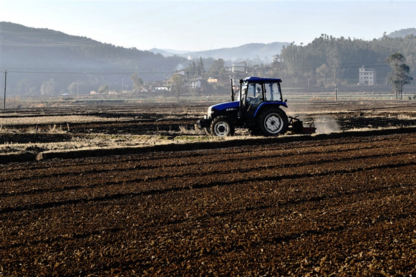 5.楊和森 攝.jpg 5.楊和森 攝.jpg