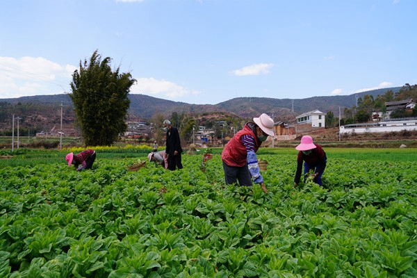 2.張桂偉攝.jpg 2.張桂偉攝.jpg