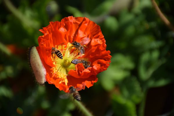 圖3(600).jpg 圖3(600).jpg