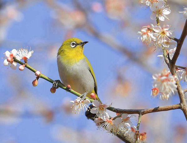 圖4(600).jpg 圖4(600).jpg