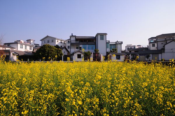 原圖(600).jpg 原圖(600).jpg