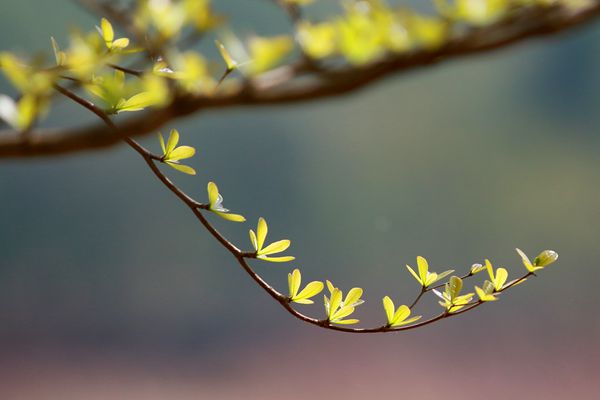 圖11(600).jpg 圖11(600).jpg