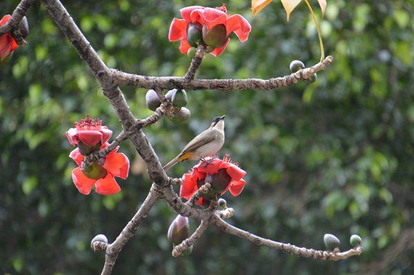 圖8(600).jpg 圖8(600).jpg