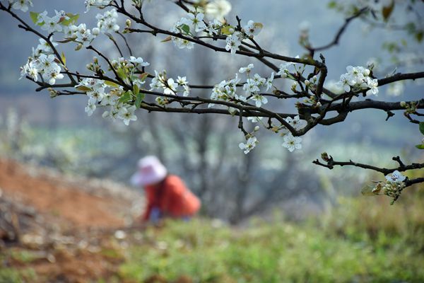 圖2(600).jpg 圖2(600).jpg