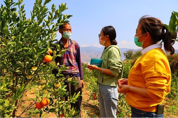 TIM截圖20200309124827.jpg TIM截圖20200309124827.jpg