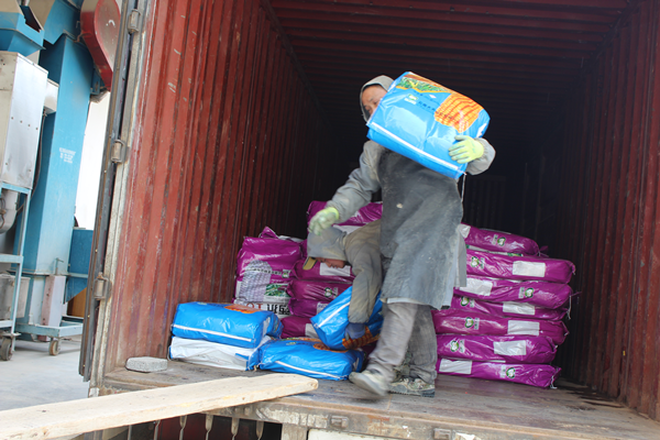 工作人員在搬運(yùn)種子.png 工作人員在搬運(yùn)種子.png