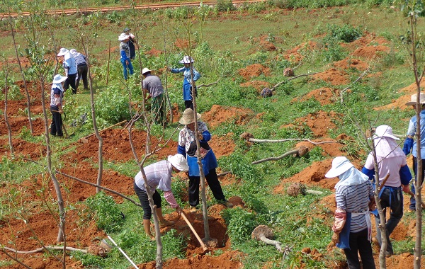 春回大地,萬物復蘇。丘北縣組織干部、群眾開展義務植樹活動,為家鄉添綠增色,用實際行動傳遞綠色正能量。(紀軍 攝).jpg 春回大地,萬物復蘇。丘北縣組織干部、群眾開展義務植樹活動,為家鄉添綠增色,用實際行動傳遞綠色正能量。(紀軍 攝).jpg