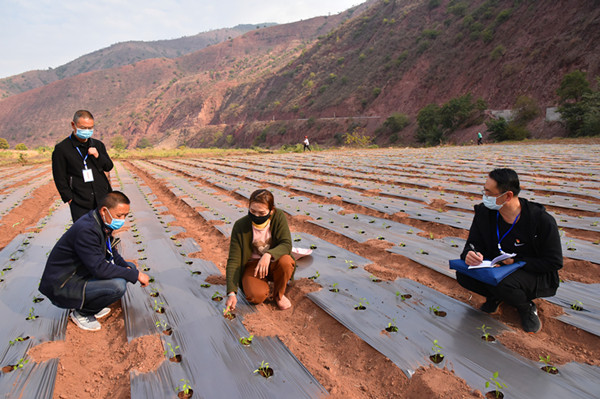 10_副本.jpg 10_副本.jpg