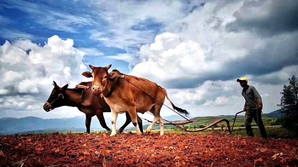 1584090314763045069.jpg 1584090314763045069.jpg