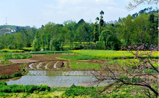 圖片8.jpg 圖片8.jpg