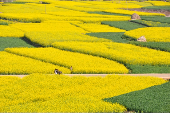 圖片7.jpg 圖片7.jpg