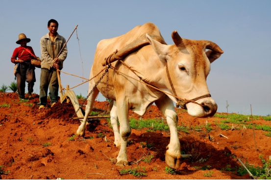 圖片2.jpg 圖片2.jpg