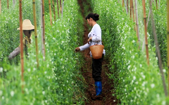 圖片4.jpg 圖片4.jpg