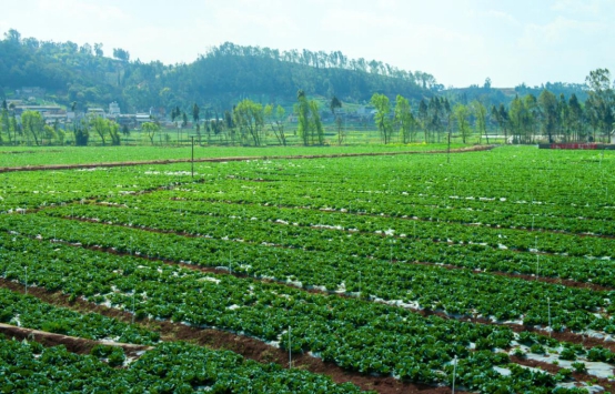 圖片6.jpg 圖片6.jpg