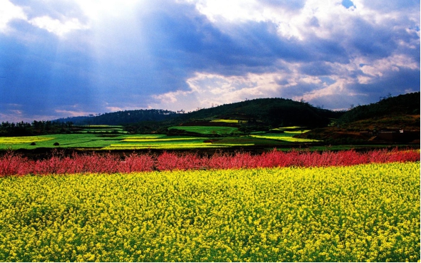 圖片3.jpg 圖片3.jpg