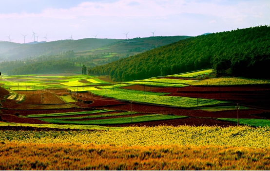 圖片1.jpg 圖片1.jpg