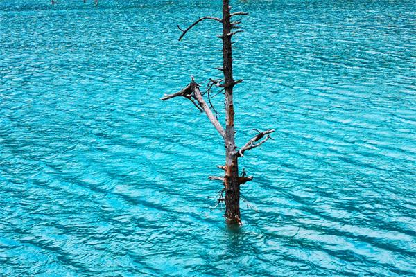 微信圖片_20200320093410_看圖王.png 微信圖片_20200320093410_看圖王.png