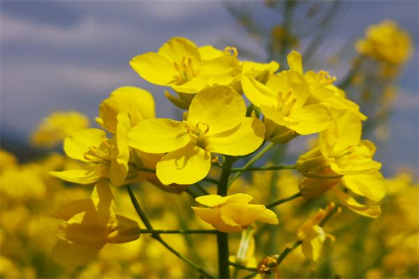 微信圖片_20200323081828_看圖王.png 微信圖片_20200323081828_看圖王.png