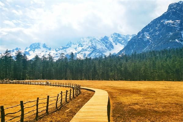 微信圖片_20200320093357_看圖王.png 微信圖片_20200320093357_看圖王.png