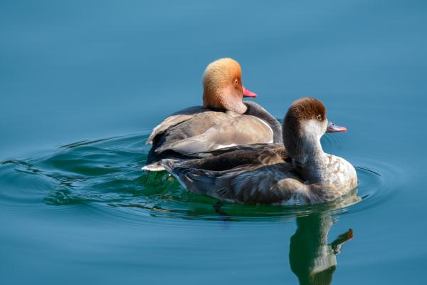 DSC_9989_看圖王.png DSC_9989_看圖王.png