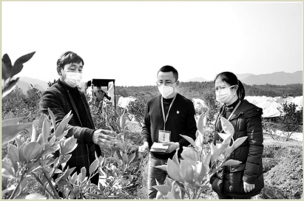 微信截圖_20200327094113.png 微信截圖_20200327094113.png