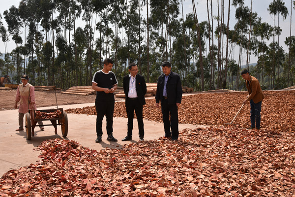 5_副本.jpg 5_副本.jpg