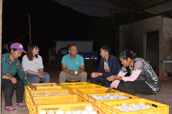 10_副本.jpg 10_副本.jpg